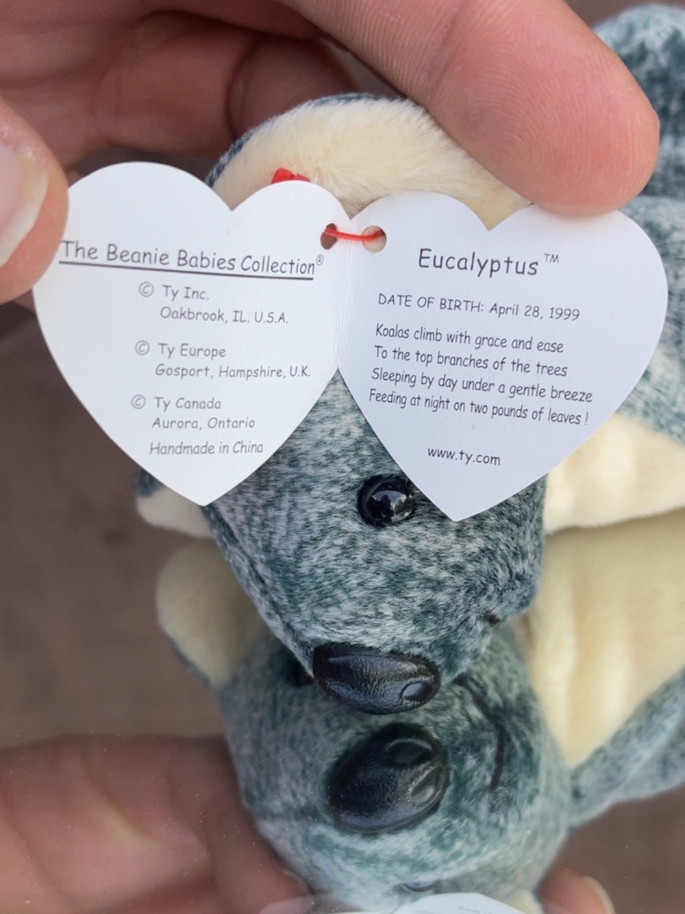‘99 - Ty - Eucalyptus the Koala Beanie Baby - Picture 6 of 9